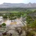 علي الخلقي