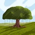 نبيل علي